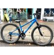 Apollo Phaze 14 inch Mountain Bike